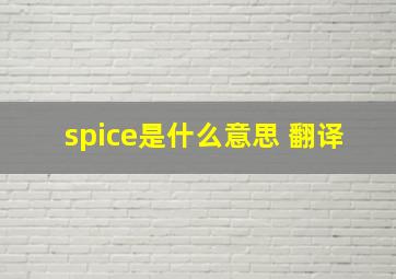 spice是什么意思 翻译